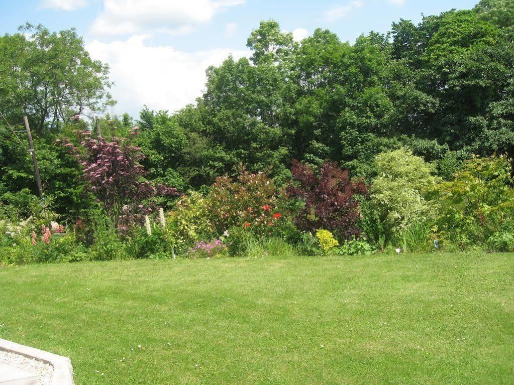 Bed and Breakfast Hazelwood House Bridgend  Exteriér fotografie